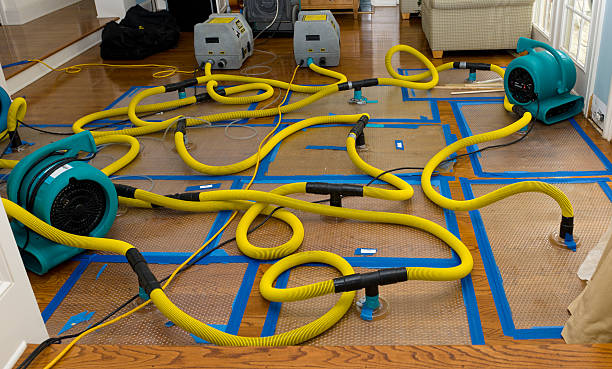 Professional Water Extraction technician working in Falls City, NE